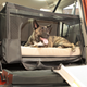 Illustration for article titled Honda Element Dog Friendly Concept Is For The Dogs